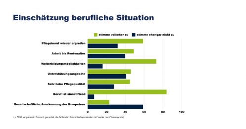 Diagramm Umfrage 2024 berufliche Situation