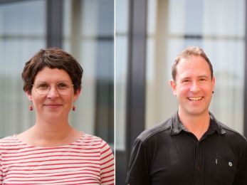 Ein Blick in die Zukunft: Kontinuität und Wandel im DBfK